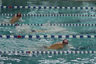 mk体育现在-“世界游泳锦标赛：2025新加坡赛场泳池掀起速度与优雅的碰撞”